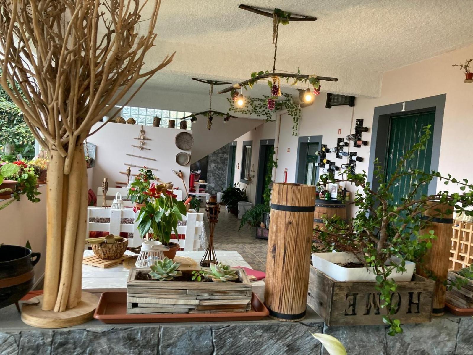 Tabua Village Ribeira Brava Exteriér fotografie